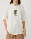 3.webp