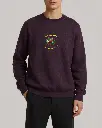5.webp